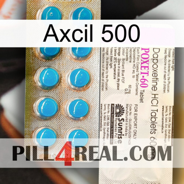 Axcil 500 new07.jpg